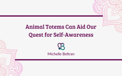 Animal Totems Can Aid Our Quest for Self-Awareness